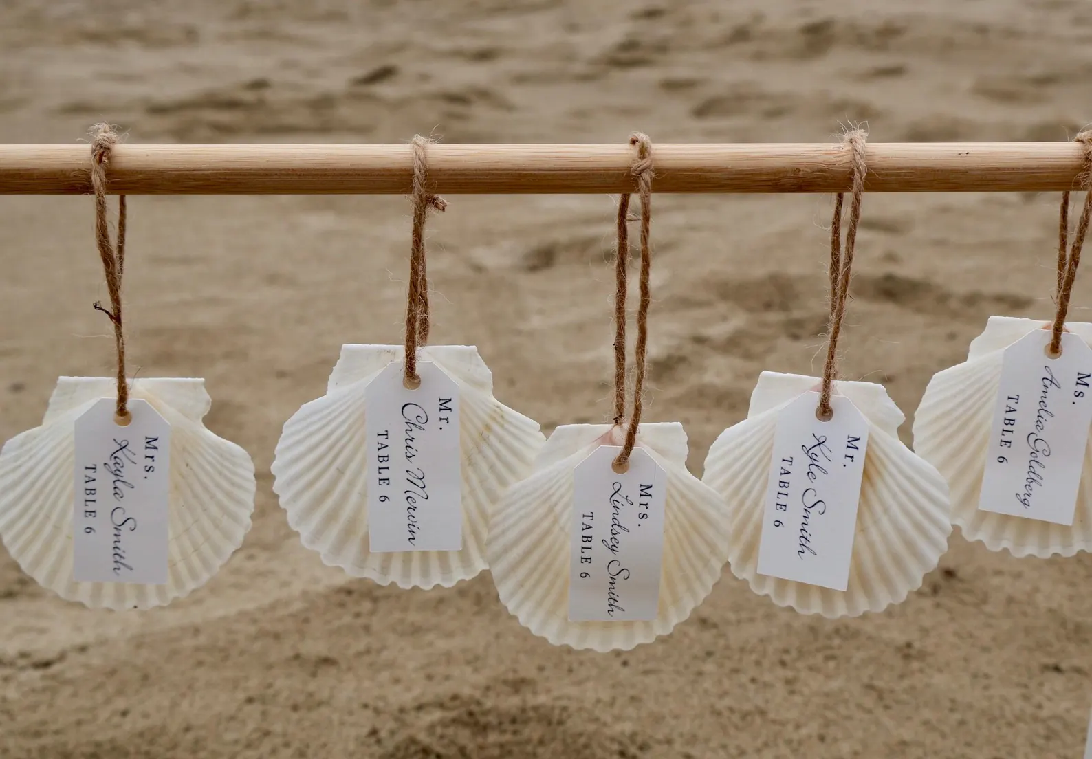 Scallop Seashell Seating Chart — view 2
