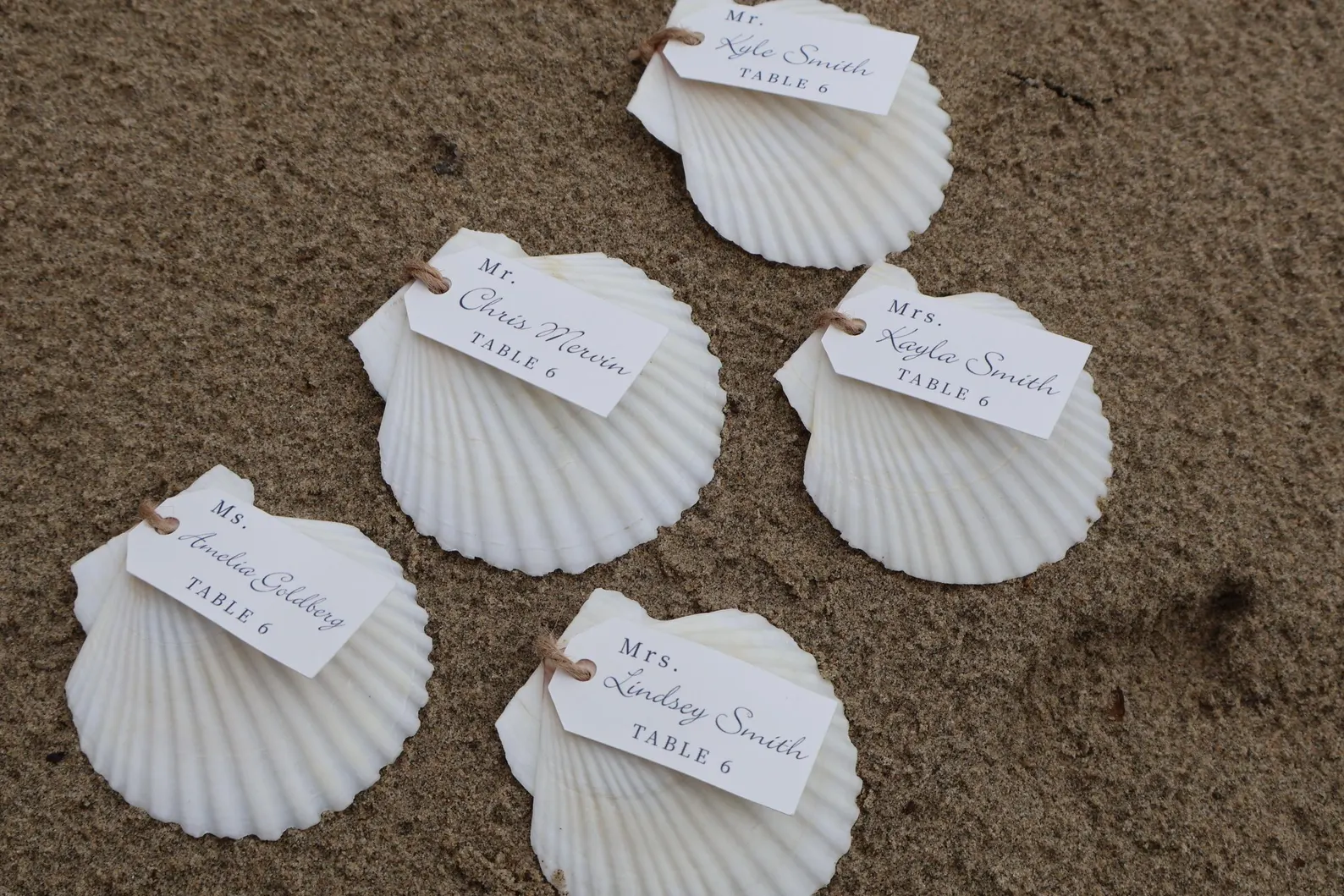 Scallop Seashell Seating Chart — view 4