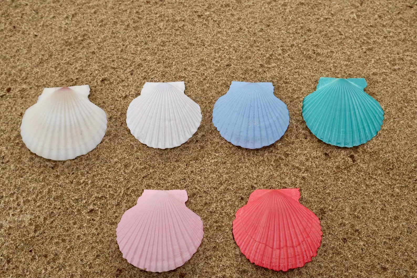 Scallop Seashell Seating Chart — view 5